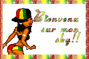 bien venu sur mon vip-blog